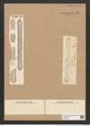 Ardissonia pulcherrima (Hantzsch) Grun. (de-Toni-Nr.: Genus 68, Species 2680) Zeichnungen Sammlung Grunow Nr. 5489 (NHMW-BOT-W0373920)